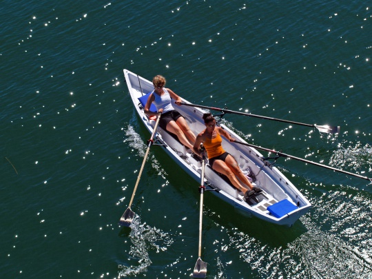 foj_Company_Tab_whoAreWe_title