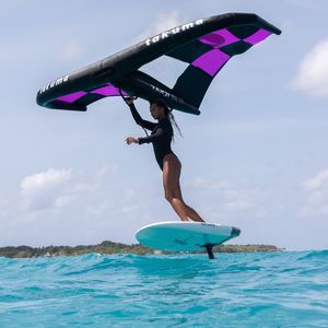水翼冲浪板 1