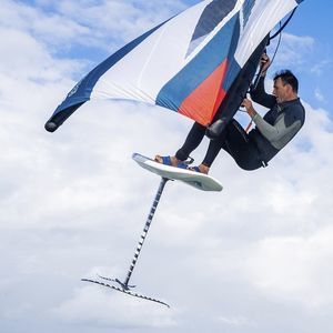 翼水翼板 1
