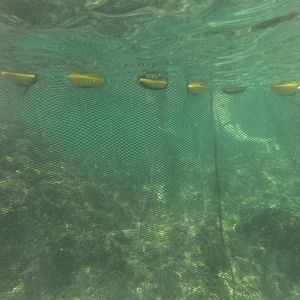 网拦油栅