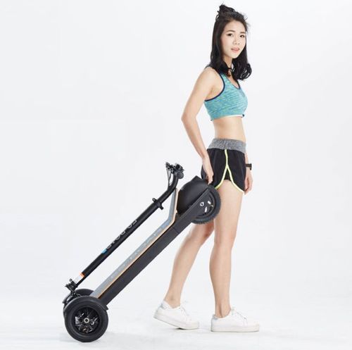 折叠小型摩托车 - ES BOARD - Shenzhen Xinli Technology Co., Ltd. - 电动