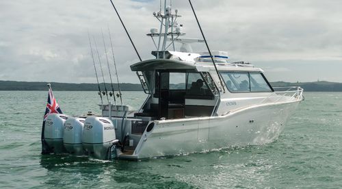 舷外快艇 - 1050  - White Pointer Boats Ltd - 三引擎 / 硬顶 / 封闭飞桥