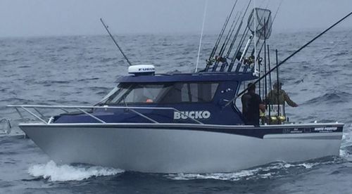 专业捕鱼船专业船 - 870  - White Pointer Boats Ltd - 舷内