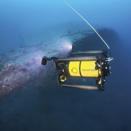 介入式水下机器人 - ROV - Boxfish Research - 观察 / 水产养殖 / 摄影测量