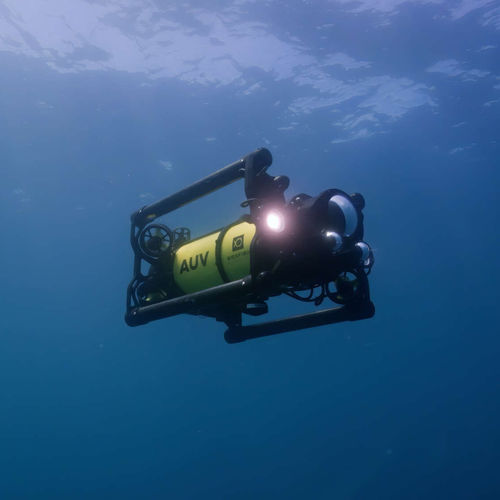 观察ROV - Boxfish  - Boxfish Research