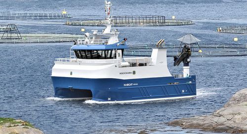 水产养殖用船专业船 - NabCat 1499/1200 MD - Moen Marin AS - 双体船 / 舷内