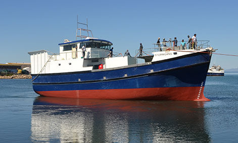 拖网渔船专业船 - STORMGANS - Sachal Shipyard