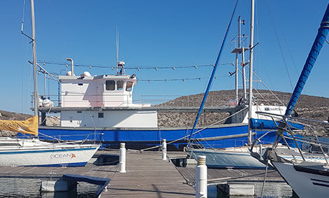 舷内拖网渔船 - MAREDON - Sachal Shipyard - 舵手室