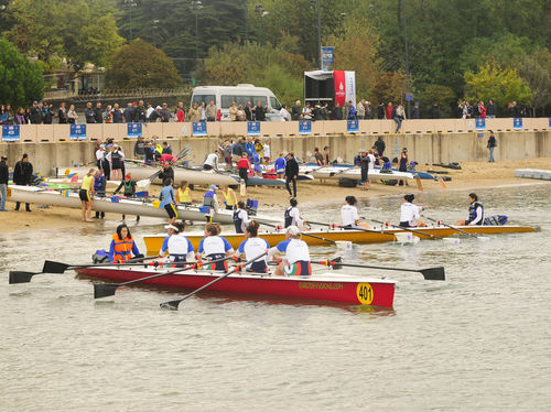 休闲划艇 - Y 35 club  - Rowing Sport  boats - 四人双桨 / 带舵手位