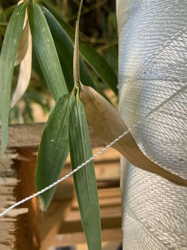 捕捞网用缆绳 - Barcelona Performance Yarns SL - 双股 / 单股编织 / 拧绞