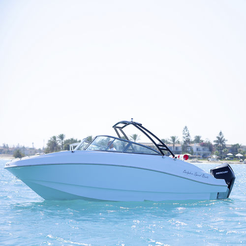 舷外小快艇 - LEGEND - DOLPHIN SPEED BOATS - 双控制台 / Bow Rider / 开放式