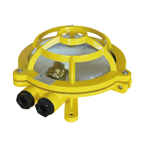 户外顶灯 - CCD4-1 - Zhejiang Bozhou Marine Electric Technology Co., Ltd. - 船舶 / 驾驶室 / 轮机舱用