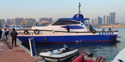 钓鱼机动游艇 - PELAGIC 1700 - Qingdao Allheart Marine Co., Ltd. - 舵手室