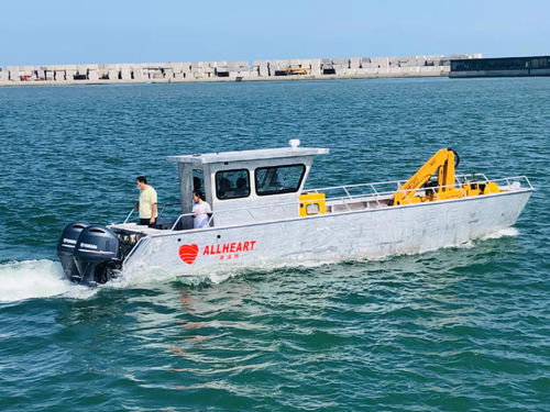 登陆艇专业船 - 1000 - Qingdao Allheart Marine Co., Ltd. - 舷外 / 铝制
