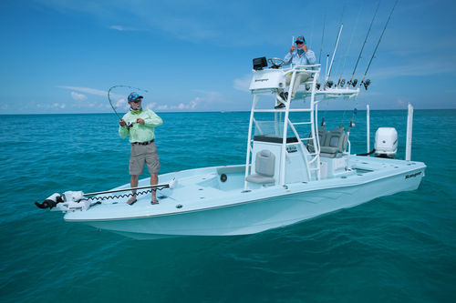 舷外海湾游艇 - 2510 - Ranger Boats - 中央控制台 / 开放式 / 飞桥