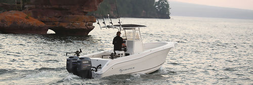 舷外敞开艇 - 2605 CC - Striper Boats - 双引擎 / 钓鱼运动 / 最多容纳 8 人