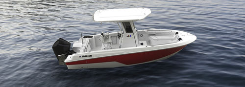舷外敞开艇 - 223 Fisherman - Wellcraft - 中央控制台 / 钓鱼运动 / 最多容纳 8 人