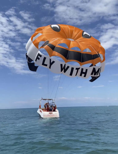 定制翼伞 - RP42 FT Earth - Risus Parasails - 用于强风 / 船上发射式 / 海滩发射式