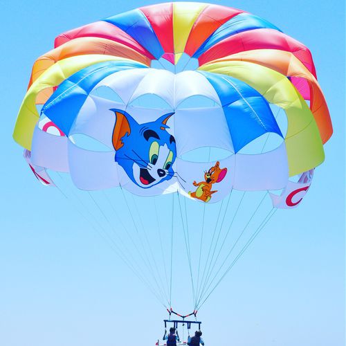 定制翼伞 - RP46 FT MOON - Risus Parasails - 用于强风 / 船上发射式 / 海滩发射式