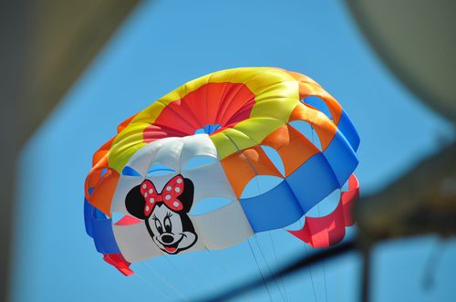 定制翼伞 - RP50 MARKUM - Risus Parasails - 用于强风 / 船上发射式 / 海滩发射式