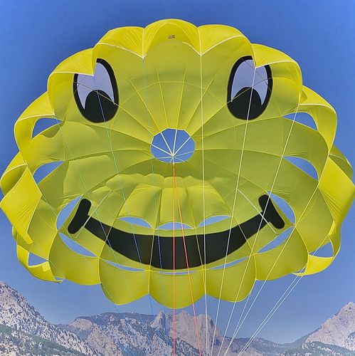 定制翼伞 - RP34 FT GALAXY - Risus Parasails - 用于强风 / 船上发射式 / 海滩发射式