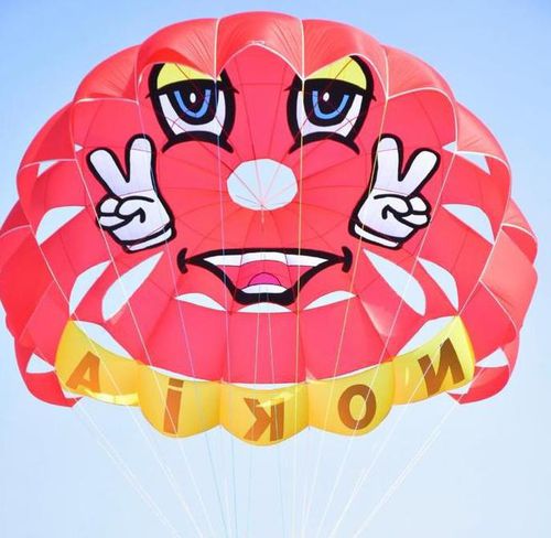 定制翼伞 - RP39 FT JUPITER - Risus Parasails - 用于强风 / 船上发射式 / 海滩发射式