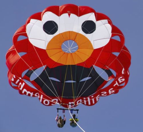定制翼伞 - RP28 FT NEPTUN - Risus Parasails - 用于强风 / 船上发射式 / 海滩发射式