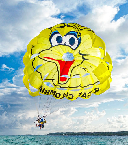 定制翼伞 - RP30 FT Dwarf Planet - Risus Parasails - 用于强风 / 船上发射式 / 海滩发射式