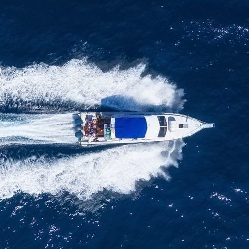 舷内快艇 - Q6 - Vi Yachts - 双引擎 / 飞桥 / 最多容纳 14 人