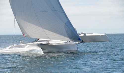 三体帆船 - TR 42 Performance - Nautisch Centrum Delfzijl - 巡游 / 4舱 / 补助帆桁
