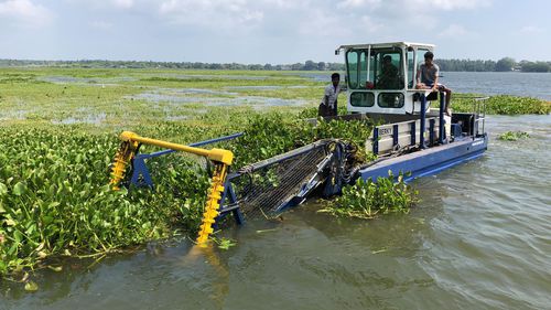 水草收割船专业船 - TRITON 550 AMPHI - Berky GmbH - 多体船 / 水陆两用
