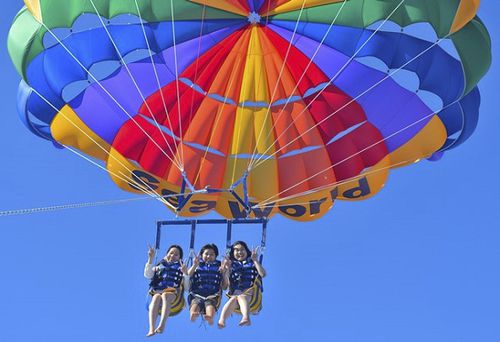 定制翼伞 - X AIR 40 - Hovel Parasail - 用于强风 / 船上发射式 / 海滩发射式