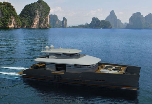双体船机动游艇 - BLUE COAST 100’ POWER - Catamaris - 远洋巡游 / 变形 / 飞桥