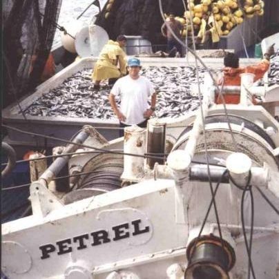 船舶绞车 - PW-110-XSTA2+2SF2(B45) - Petrel International - 系泊 / 液压驱动 / 单鼓