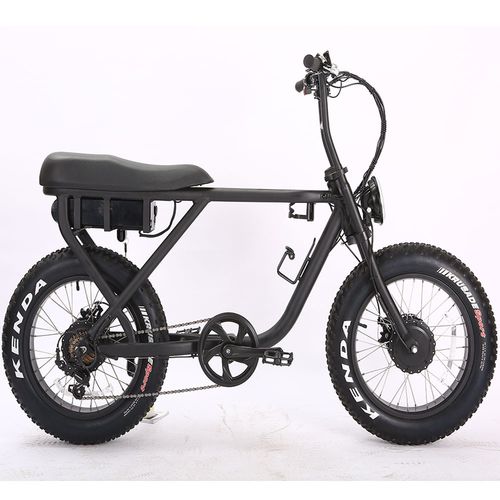 电动自行车 - Haswing Outdoor - 船用
