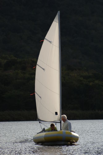 刚性充气帆艇 - SAILING CATALITE RIB - African Cats - 独桅艇