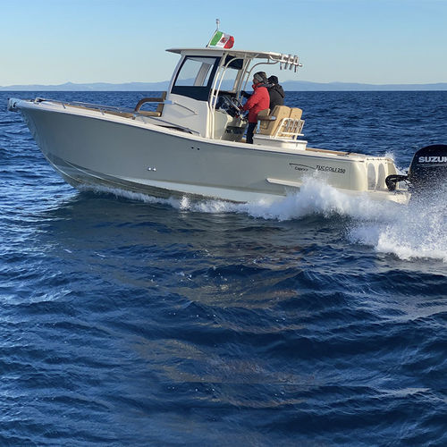 舷外舱房游艇 - T250 SF Capraia - Tuccoli - Technology Boats - 汽油 / 双引擎 / 滑行船身