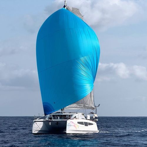 双体帆船 - C-Cat 38 - Comar Yachts - 巡游 / 2舱 / 4舱