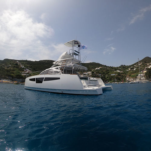 双体快艇 - C-Cat 40 PWF - Comar Yachts - 舷内 / 双引擎 / 飞桥