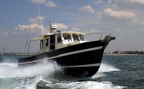 舷外休闲钓鱼船 - 850  - Rhea Marine - 舷内 / 柴油 / 双引擎