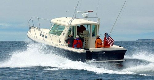 舷内快艇 - 31 TOURNAMENT EXPRESS - Albin Marine - 柴油 / 舵手室 / 钓鱼运动