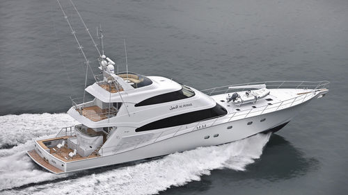 钓鱼运动超级游艇 - AL DUHAIL - Warwick Yacht Design - 飞桥 / 排水船体 / 复合材料