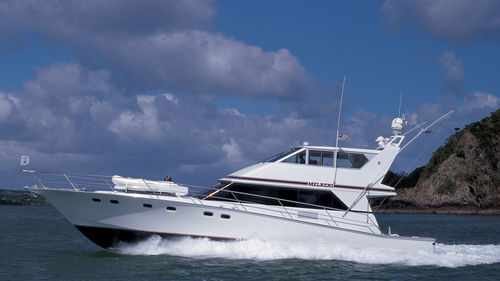 钓鱼运动机动游艇 - MELRINI - Warwick Yacht Design - 封闭飞桥 / 滑行船身