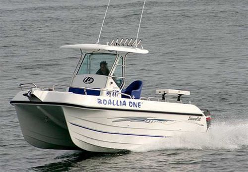 双体Walkaround艇 - 6000 Islander - LeisureCat - 舷外 / 双引擎 / 中央控制台