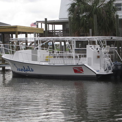 玻璃底船专业船 - Newton 36' - Newton Boats - 舷外 / 玻璃纤维