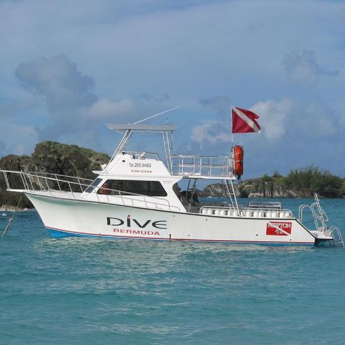 舷内快艇 - 42'  - Newton Boats - 双引擎 / 飞桥 / 潜水