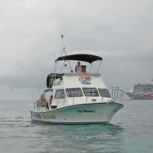 客船专业船 - Newton 36' - Newton Boats - 潜水支持船 / 舷内 / 玻璃纤维