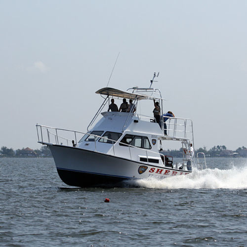 搜救船专业船 - 36' - Newton Boats - 舷内