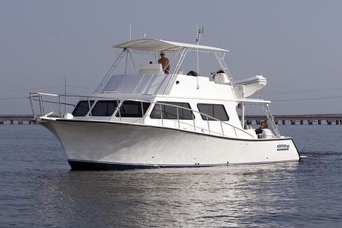 舷内快艇 - 46'  - Newton Boats - 飞桥 / 钓鱼运动