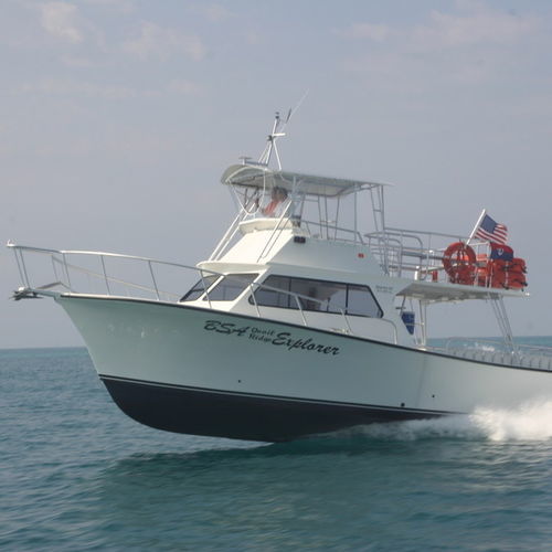 舷内快艇 - 46'  - Newton Boats - 双引擎 / 封闭飞桥 / 包船租赁